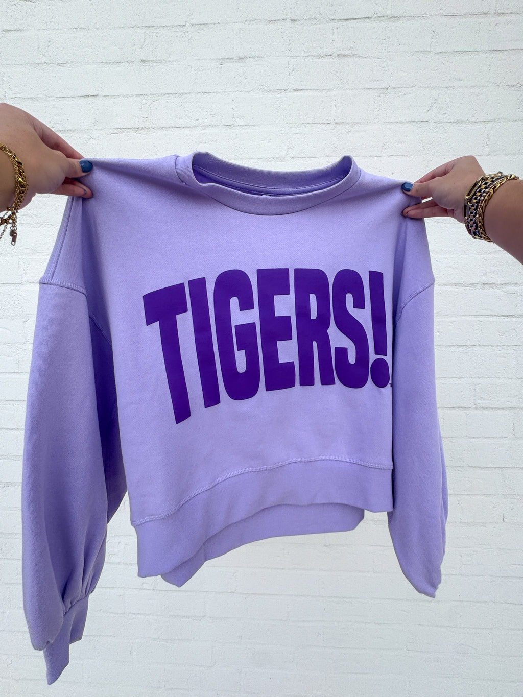 The Tigers! Sweatshirt