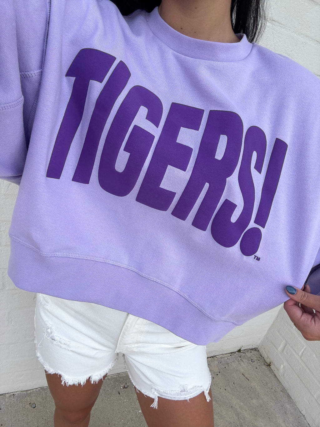 The Tigers! Sweatshirt