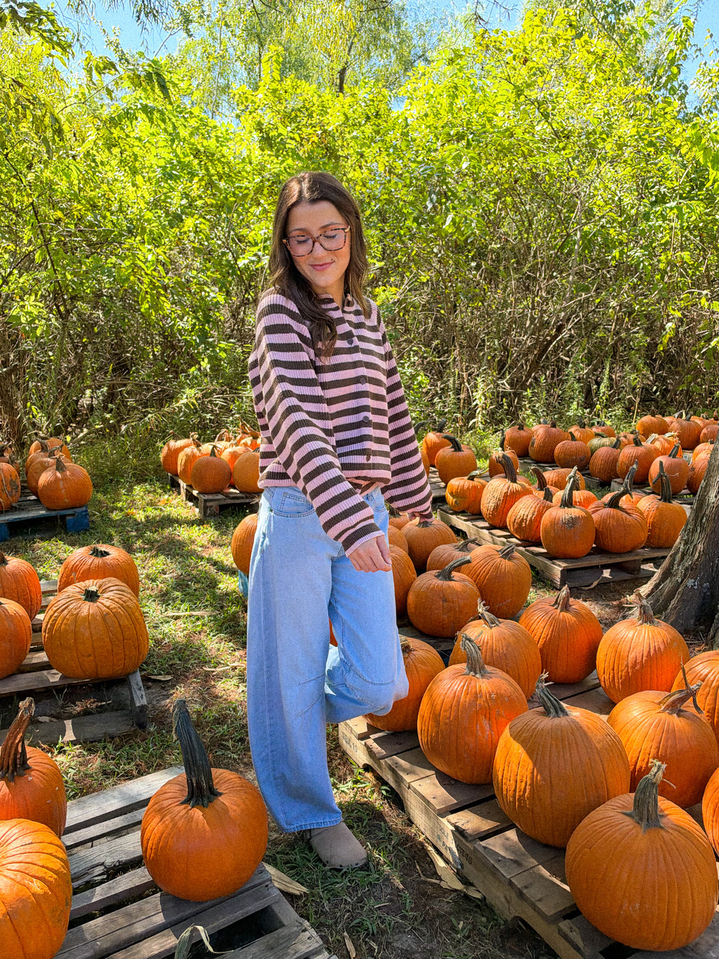 The Rosewood Cardigan
